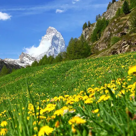 Haus Rollin By Interhome Appartement Zermatt